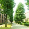 柴田阿弥の大学はどこ？学部は？